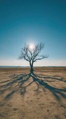 A lone, leafless tree casts a long shadow on a sun-drenched, flat expanse of land