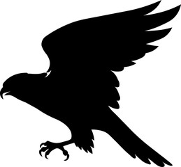 eagle vector illustration and silhouette