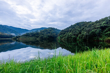 The natural background of many kinds of trees growing along the edge of a large reservoir,...