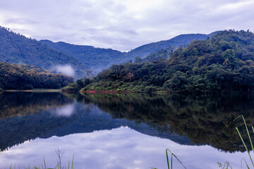 The natural background of many kinds of trees growing along the edge of a large reservoir, mountains, rivers, is a rich ecosystem that is home to many kinds of wildlife.