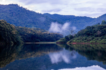 The natural background of many kinds of trees growing along the edge of a large reservoir, mountains, rivers, is a rich ecosystem that is home to many kinds of wildlife.