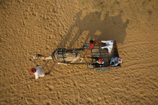 Aerial view of a camel cart, silhouetted against the golden sand, carrying passengers through the vibrant landscape of the annual fair, Pushkar, Rajasthan, India.
