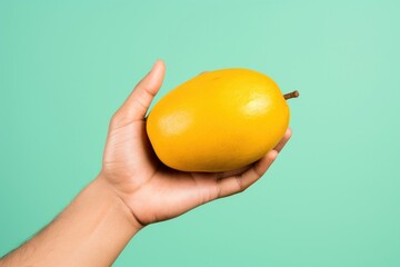 Hand holding mango fruit plant food.
