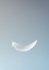 Fototapeta premium Single White Feather Floating in Air - Serenity and Peace