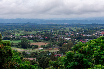 The natural background of many kinds of trees growing along the edge of a large reservoir, mountains, rivers, is a rich ecosystem that is home to many kinds of wildlife.