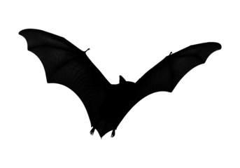 Captivating Bat Flight Silhouette An Isolated, Black Form Soaring on a Plain White Canvas, Showcasing Nature's Mysterious Creatures