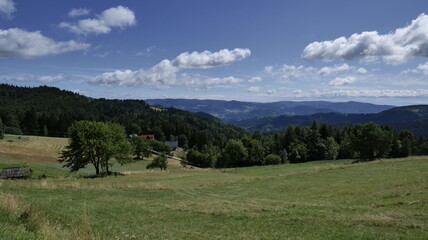 Panorama górska z Beskidu Sadeckiego na Pieniny i Tatry w oddali.