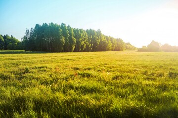 Green countryside and plowed agricultural land
