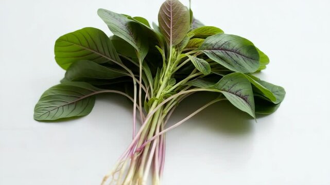Fresh amaranth leafy greens with purple stems on white background  