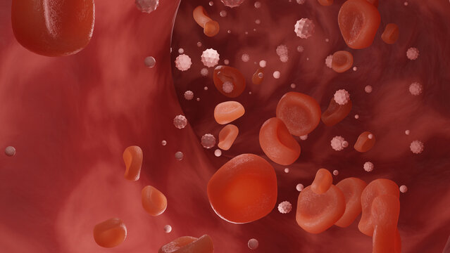 3D render of blood cells flowing in a blood vessel. Medical concept illustration. Microscopic view of red blood cells, circulatory system. Bloodstream. Medical or Microbiological illustration