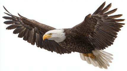 Obraz premium Abstract Portrait of Woman with Geometric Patterns