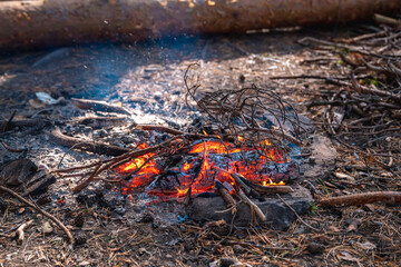 A burning fire during the hike, a lot of branches and brushwood