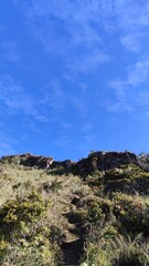 Mountain Summit Serenity