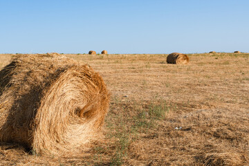 Close-up of a hay bale in a harvested field under a clear blue sky.