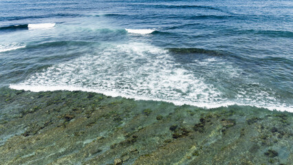 Clear sea wave breaking over shallow rocky seabed with green algae.