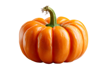 Smooth skinned orange pumpkin with green stem