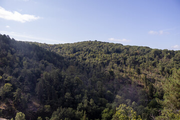 Obraz premium mountain landscape with trees