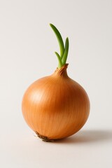 Single brown onion with vibrant green sprouts on a clean white background.