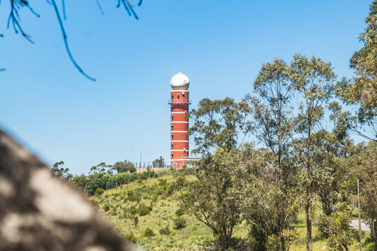 Vegetation, blurred trunk and IPMA tower (weather radar) on a hill, Loul&eacute; PORTUGAL