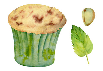 Watercolor cupcake in craft paper wrapper, artisanal baked muffin in frilled cup with fresh mint leaf, pistachio nut kernel. Isolated hand drawn illustration for culinary stickers, food-themed packs. © Elena