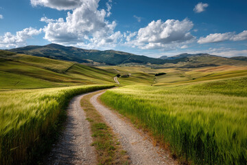 breathtaking summer landscapes showcasing rural fields and tractor paths in  different countries featuring