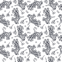 Seamless vector pattern of viburnum berries, viburnum bunches, all objects hand-drawn with ink. Vector illustration for printing on fabric, paper, packaging of goods and cosmetics. Vector illustration