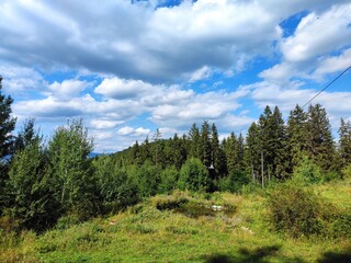 Beautiful forest photos. Trebević mountain