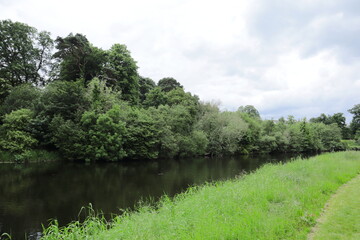 Fototapeta premium Scenic riverside with lush green grass, dense trees, and calm reflective water under cloudy summer sky, peaceful countryside landscape in Europe for travel, tourism, and nature photography