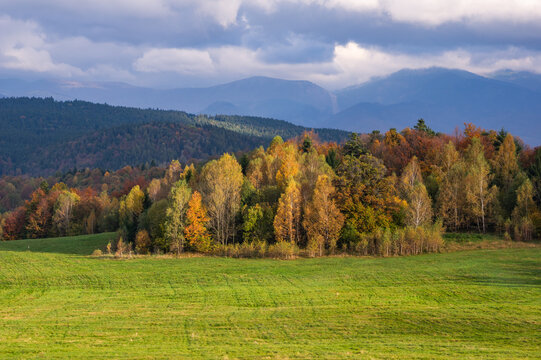 Aerial view of a vibrant tapestry of autumn colors painting the trees against the backdrop of distant mountains, Hrochot, Bansk&Atilde;&iexcl; Bystrica Region, Slovakia.