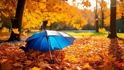  Beautiful autumn background landscape. Carpet of fallen orange autumn leaves in park and blu.jpg