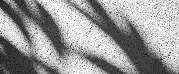Shadows of leaves on a textured gray wall creating an abstract pattern with subtle contrast, evoking a moody atmosphere while blending nature and urban minimalism.
