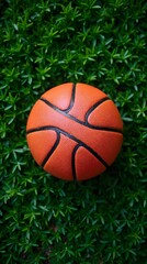 a basket ball on the grass