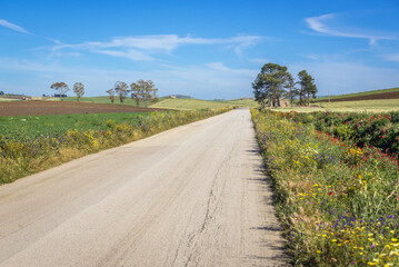Country road in Trapani Province on Sicily Island in Italy