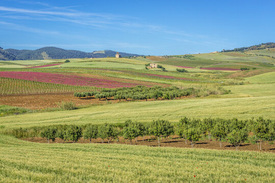 Landscape of Trapani Province of Sicily autonomous region in Italy