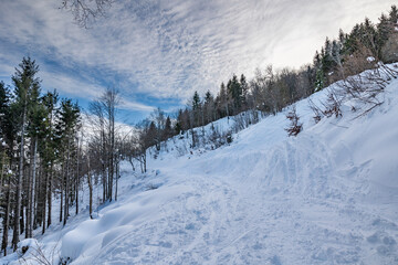 vista panoramica da un sentiero lungo un pendio di montagna nel nord Italia completamente innevato,...