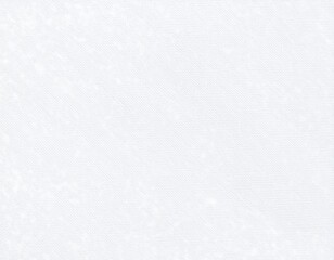 Obraz premium Light gray textured background