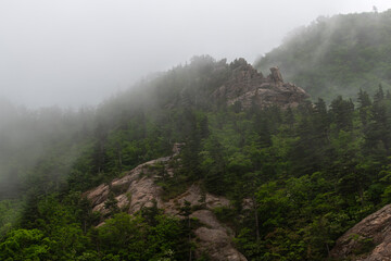 foggy mountain