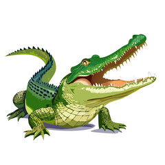 Obraz premium Illustration of a green alligator with an open mouth showing its teeth predator reptile cartoon