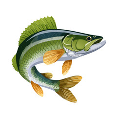 Leaping fish illustration with green scales and golden fins on black background graphic fishing wildlife aquatic art