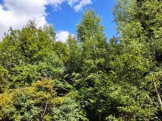 Beautiful nature photos