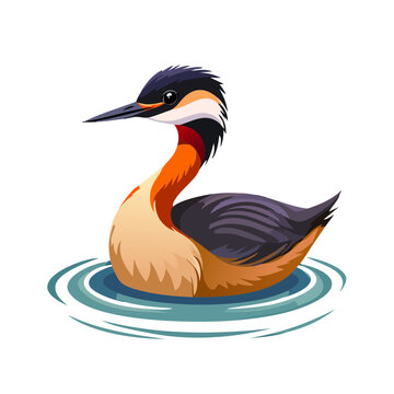 Red necked grebe on water cartoon illustration wildlife bird design swimming waterfowl vector animal isolated symbol avian nature.