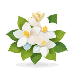 Naklejka premium Magnolia blossoms graphic art flowers and foliage elegant vector illustration White petals yellow stamens for decorations or nature design