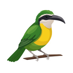 Fototapeta premium Vivid Green Bird Perched on Branch Isolated on Black Illustration Tropical Wildlife
