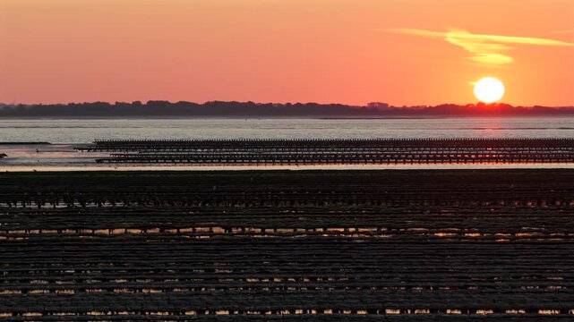 Aerial view of Oyster farm at sunset	