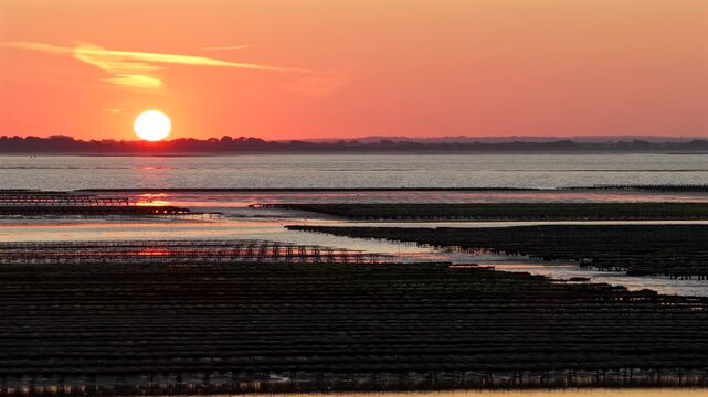 Aerial view of Oyster farm at sunset	
