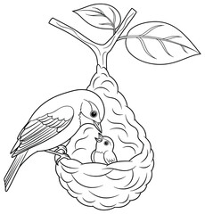 Bird coloring page illustration of a mother bird feeding her chick inside a hanging nest attached to a tree branch with leaves drawn in clean vector outline style for coloring