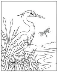 Bird coloring page illustration of a heron standing in tall reeds beside a river with a dragonfly flying nearby drawn in clean vector outline style for creative coloring