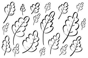 Blätter / Laub, digital gezeichnet als Hintergrund zu verwenden