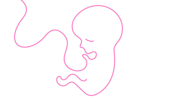 grafica, disegno, feto, bambino,, stilizzato, linea, linea singola,, filo, gravidanza, maternit&agrave;