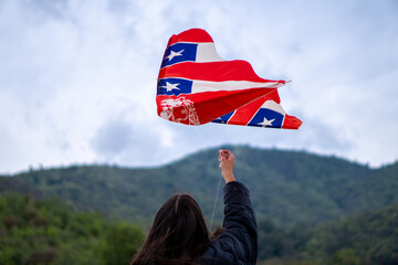 Girl Flying a Chilean Kite